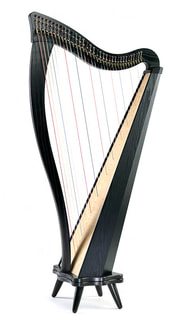 HK Suzuki Method, HK Suzuki Music, 鈴木教學法, 初學豎琴, 租豎琴, HK Harp